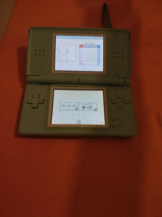 Nintendo DS Lite Verde