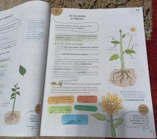 Ciencias da Natureza 3.