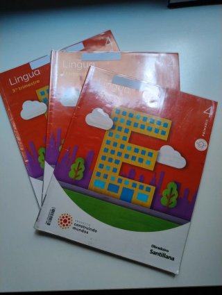 Lote Libros texto 4° primaria (Colegio CEIP Fogar)