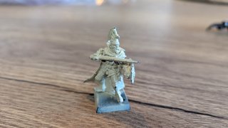 Lote Héroes Condes Vampiro Warhammer