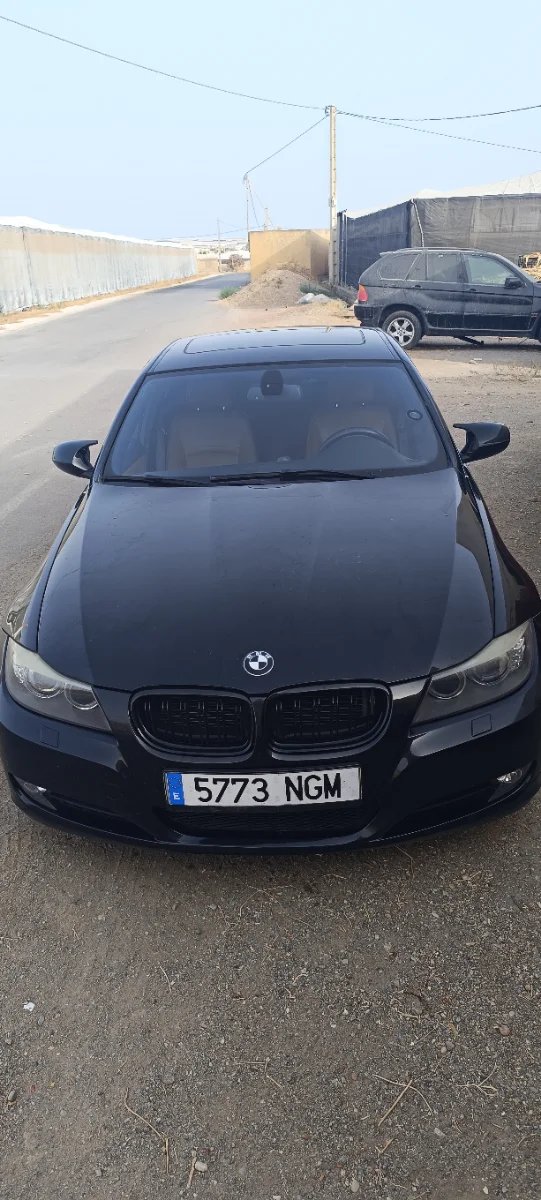 BMW Serie 3 2010 - foto 1
