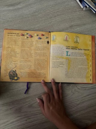 El Libro del Aprendiz de Brujo