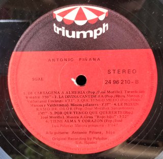 LP Antonio Piñana - Qué Sentimiento Malagueña cart