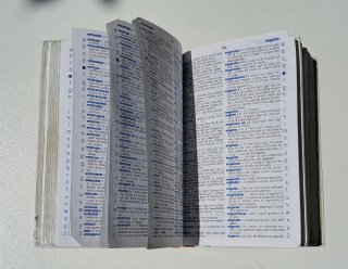 Pack 4 Diccionarios Escolares