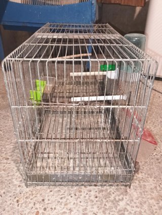Jaula para pájaros 60cm