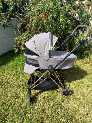 Carrinho Cybex Mios Platinum Rosegold