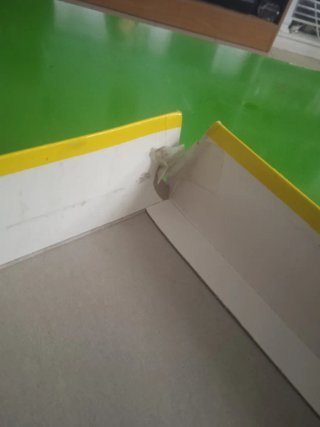 Juego de mesa Atrapa el queso