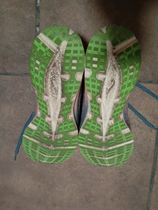 Zapatillas Joma Azul y Verde