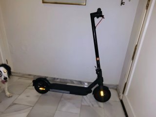Patinete Eléctrico Xiaomi Pro 2