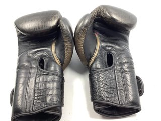 guantes  buddha premium fight wear 20oz
