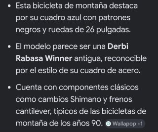 Bicicleta Clásica Años 90  Derbi Rabasa Winner