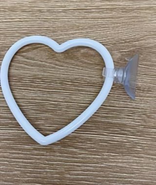 Anillo flotante Acuarios