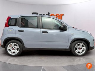 Fiat Panda Panda Hybrid 1.0 51kw (70CV)