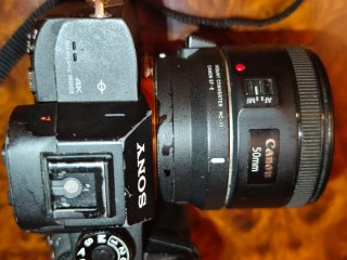 Sony A7R III + Lente Canon 50mm f1.8 + Sigma MC-11