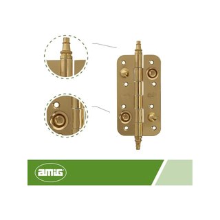 Amig bisagra seguridad acero inoxidable puertas
