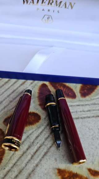 Pluma Estilográfica Waterman Expert I Vintage