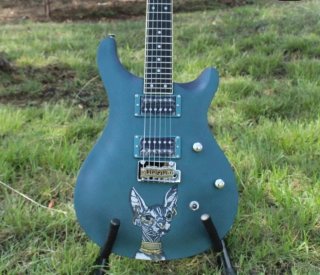 CUSTOMIZA TU GUITARRA ELÉCTRICA!