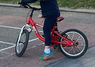 Bicicleta infantil 16 con ruedines