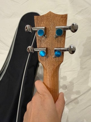 Ukelele con funda