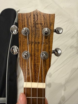 Ukelele con funda