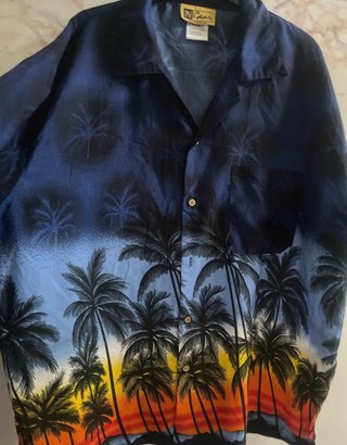 Camicia hawaiana  vintage IN GEAR uomo XL