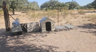 Alquilo parcela sin vivienda