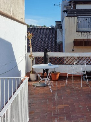 Se alquila habitación céntrica y a poco de playa