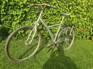 Bicicleta Paseo con Silla Infantil y Baúl