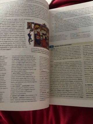 BOLOGNA LETTERATURA VISIONE ED.ROSSA 1