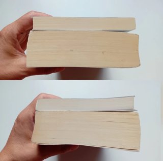 Jo Nesbø 2 libri