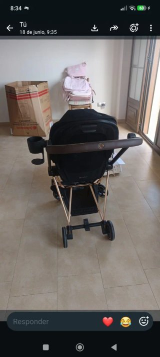 Carro de paseo Cybex con 14 fundas