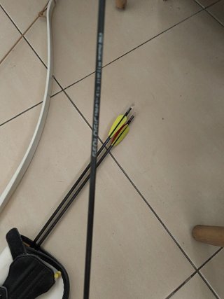 Arco e frecce per sport