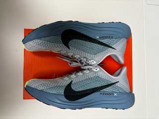 Nike Pegasus air zoom pegasus plus