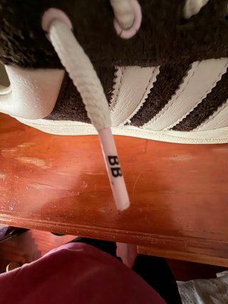Adidas Campus Bad Bunny (Edicion Limitada)