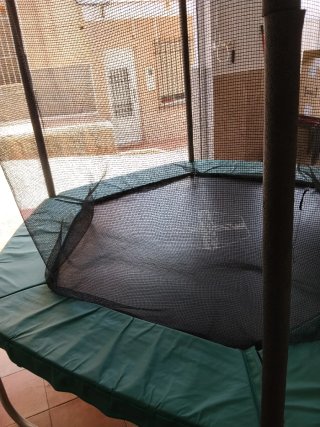Cama elástica con red de seguridad