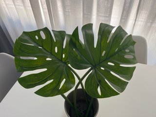 Dos Hojas decorativas planta artificial