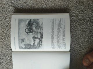 Libro el Viaje al Centro de la Tierra