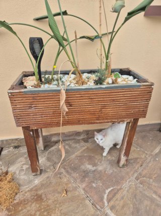 Macetero jardinera de madera