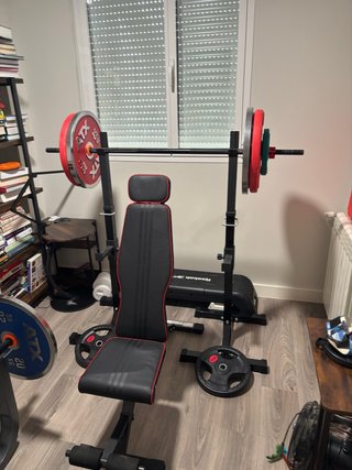 Discos de pesas y 2 bancos de gimnasio.