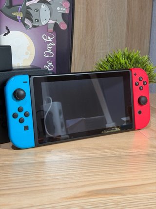 Nintendo Switch + Accesorios