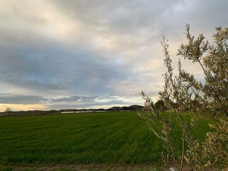 Terreno agrícola para cultivo en Aranjuez
