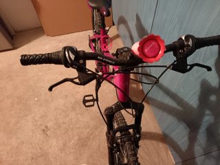 Bicicleta Montaña Rosa MTB