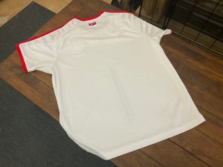 Camiseta Puma Serbia Talla L
