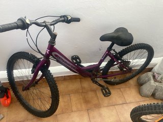Bicicleta Cadete 24 Morada