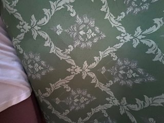 Tela para traje fallera completo verde musgo