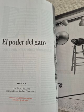 Pais Semanal numero 2548 de 27 de julio de 2025