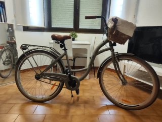 Bicicleta 26 con Cesta y Portabultos