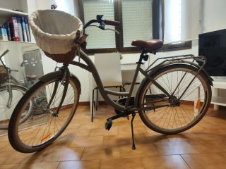 Bicicleta 26 con Cesta y Portabultos