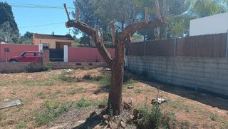 Terreno en venta en Urbanizaciones en Llíria