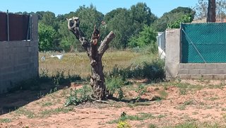 Terreno en venta en Urbanizaciones en Llíria
